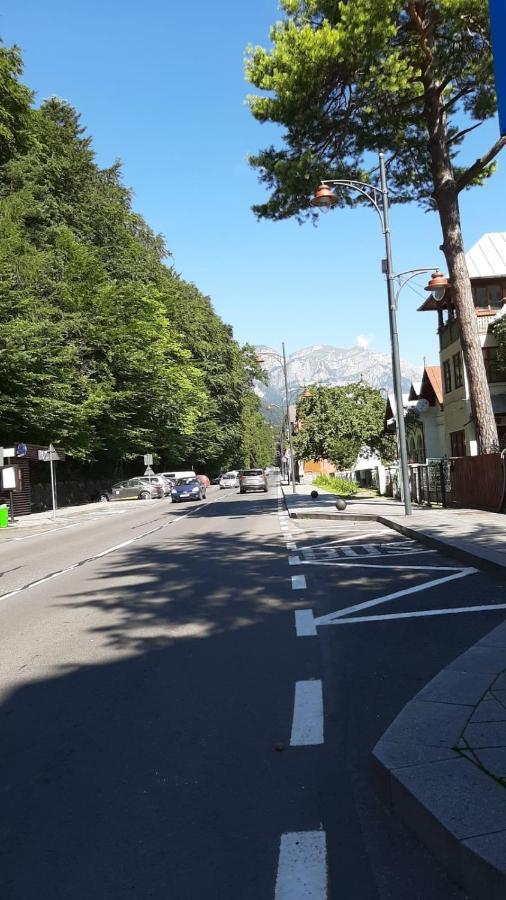 Monik Apartament Sinaia Esterno foto