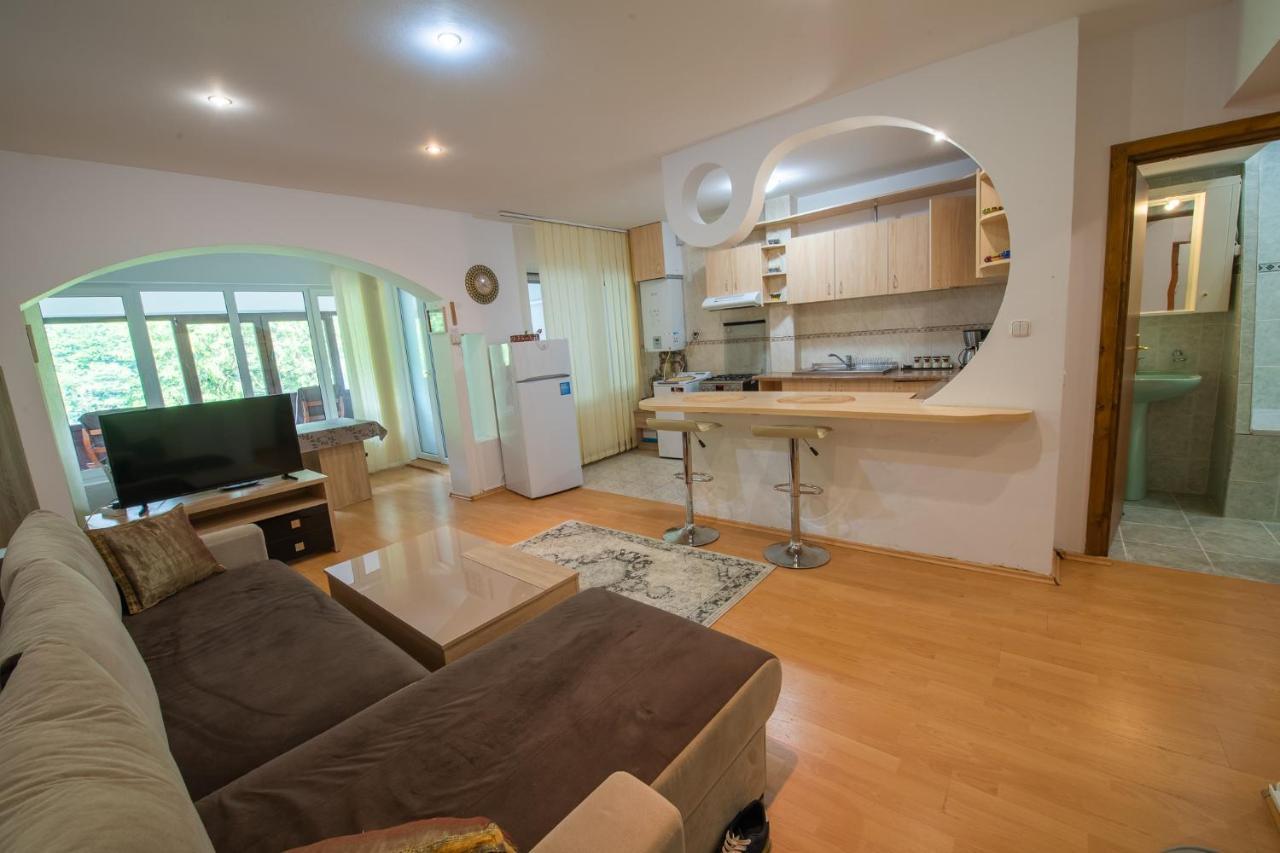 Monik Apartament Sinaia Esterno foto