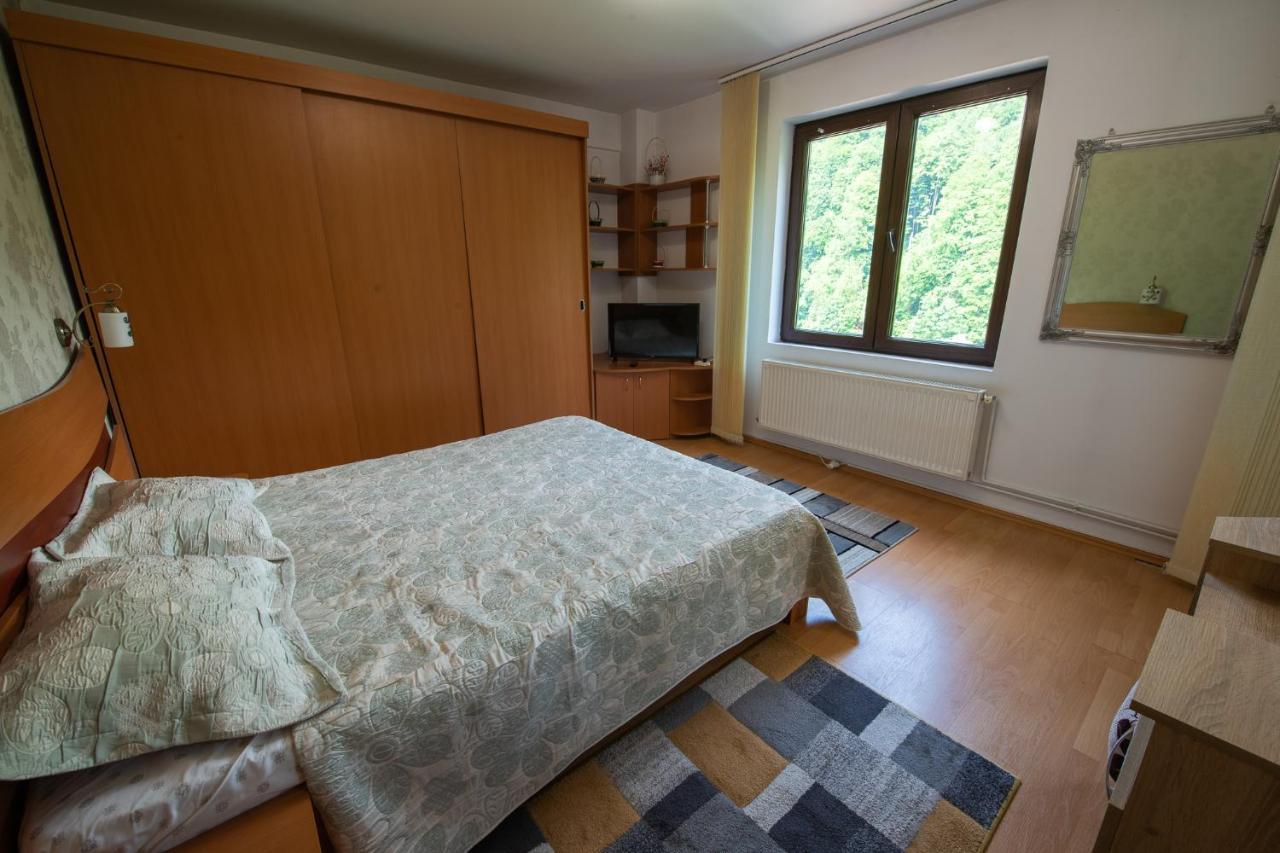 Monik Apartament Sinaia Esterno foto