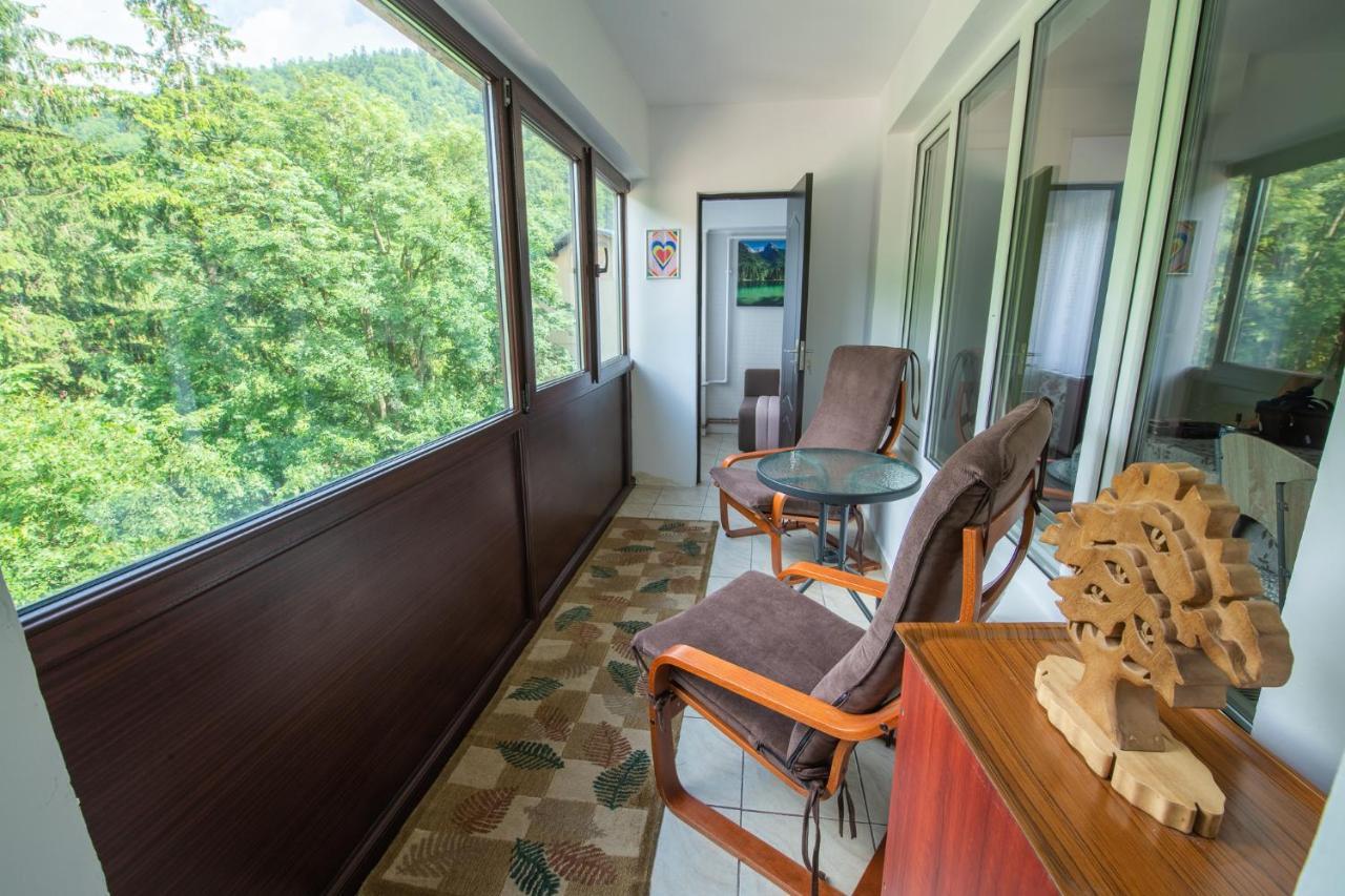 Monik Apartament Sinaia Esterno foto