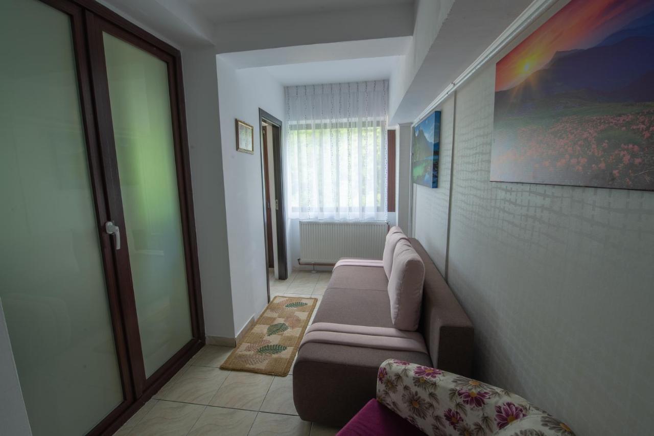 Monik Apartament Sinaia Esterno foto