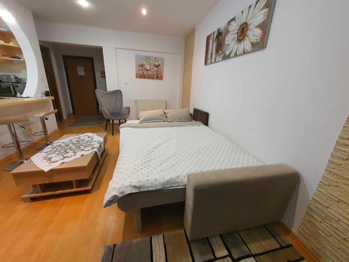 Monik Apartament Sinaia Esterno foto