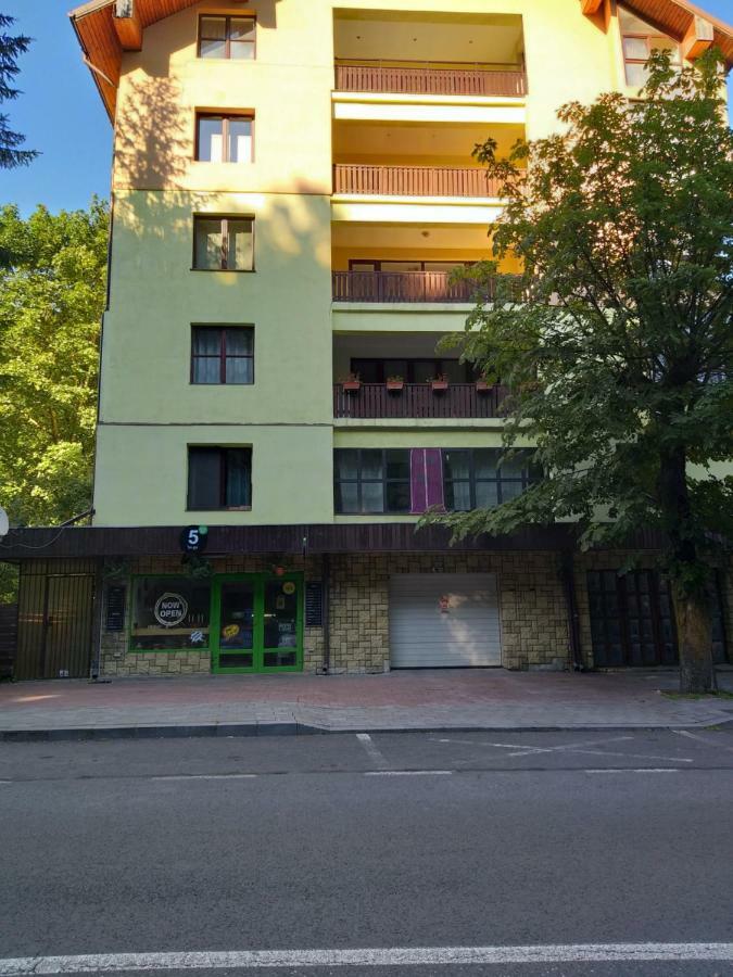 Monik Apartament Sinaia Esterno foto